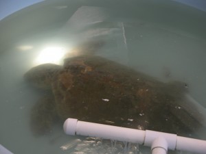 DSCN8363