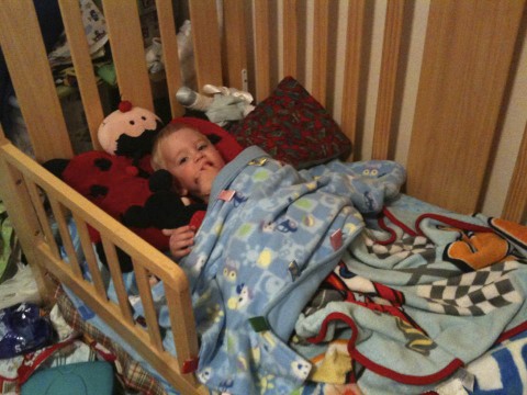 toddler bed