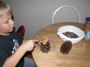 bird feeder