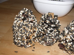 bird feeder